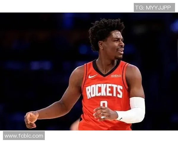 火箭主教练：霍勒迪有超高的工作精力，只需进场他就能有所发挥